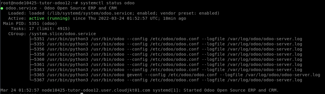 config odoo - cara install odoo