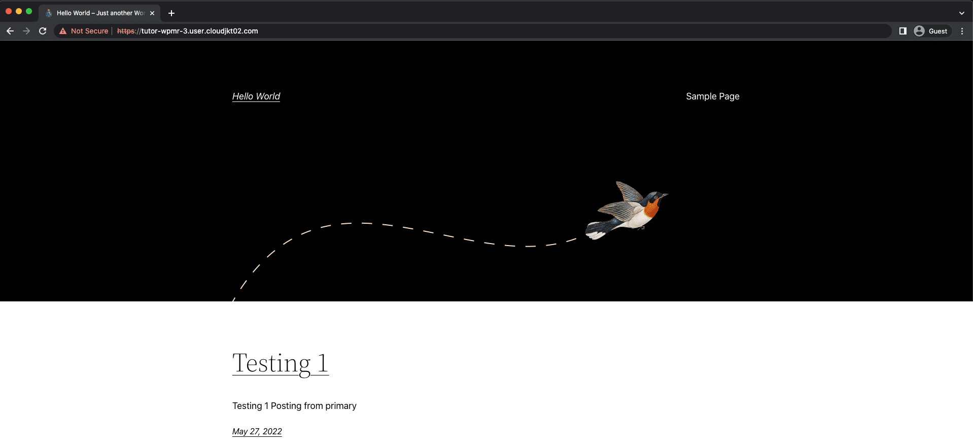 secondary environment 2 - cara install wordpress cluster multi region